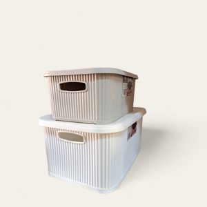 Cajas de plástico organizadoras